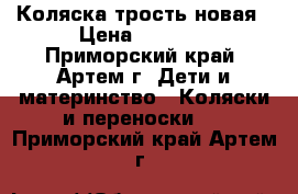 Коляска трость новая › Цена ­ 1 500 - Приморский край, Артем г. Дети и материнство » Коляски и переноски   . Приморский край,Артем г.